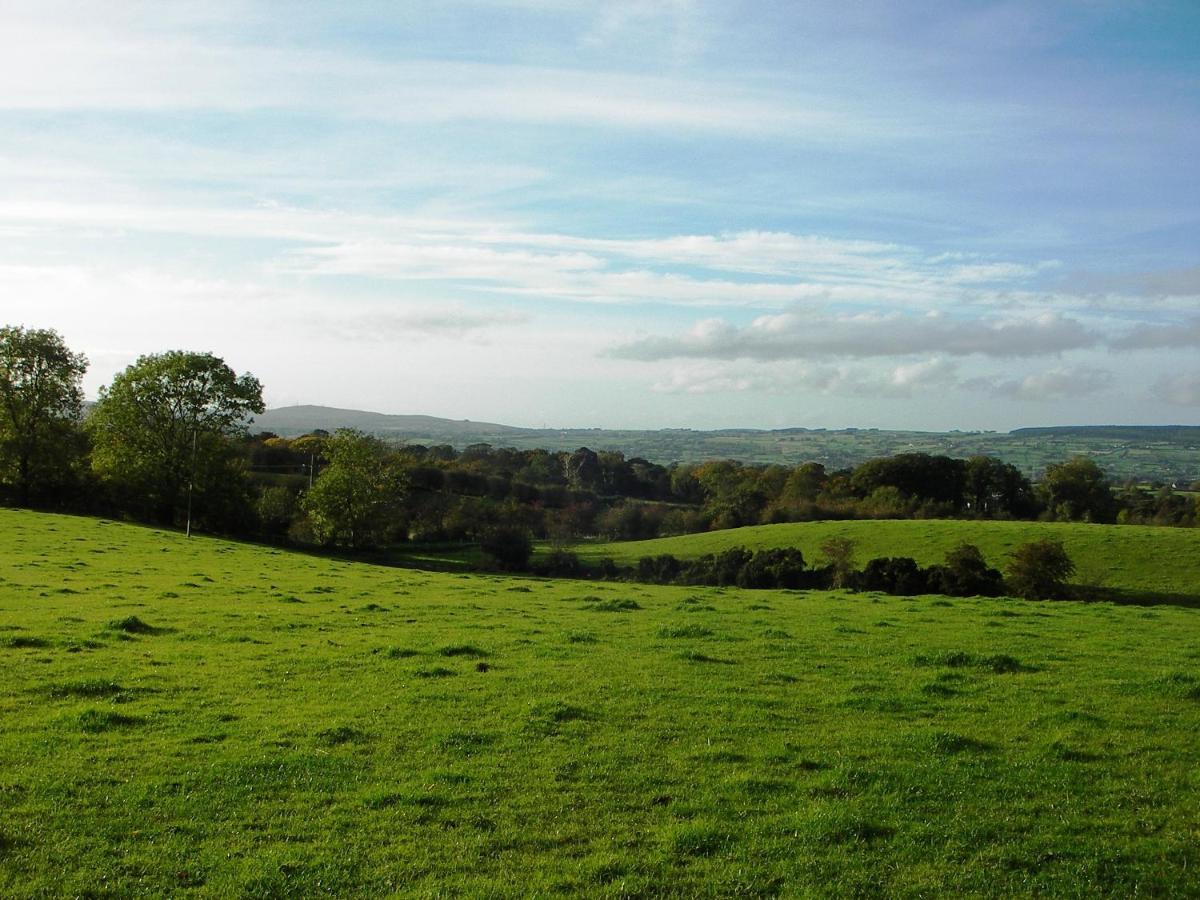 Ballylagan Organic Farm Straid  Zewnętrze zdjęcie