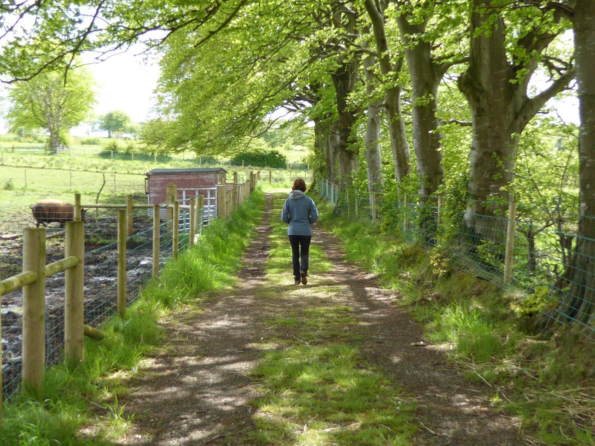 Ballylagan Organic Farm Straid  Pokój zdjęcie